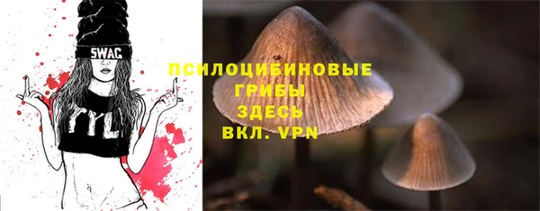 mdpv Надым