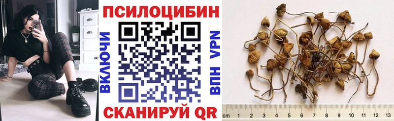 продажа наркотиков  ОМГ ОМГ как войти  это как зайти  Болотное  Галлюциногенные грибы мухоморы 